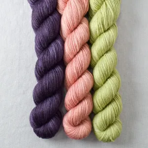 Adobe, Dusk, Frog Belly - Yowza Mini Trio